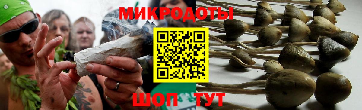 купить   Псилоцибиновые грибы Psilocybine cubensis  Котлас  Вход с VPN  Псилоцибиновые грибы Magic Shrooms 